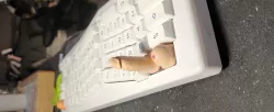 MX Cherry Sexy Dick Artisan Keycap
