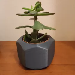 Nut ikea mini cactus pot