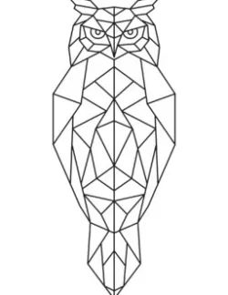Owl 2D geometric