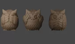 Owls