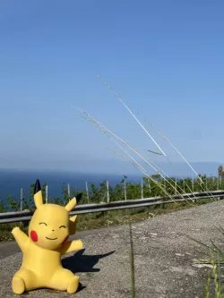 Pikachu - Prepared for print multicolor