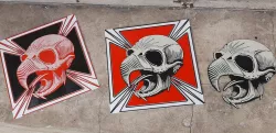 Poster Painting Powell Peralta Tony Hawk Skull 5 colors