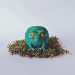 Rain Frog