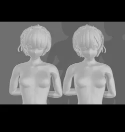 Re:Zero Ram and Rem Tied