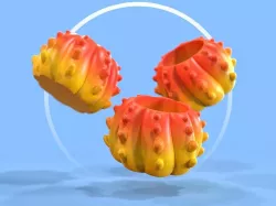 Seudo Cactus Pot