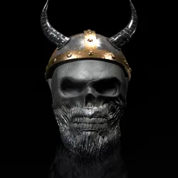 Skull Keltic - Viking