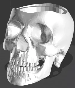 Skull Pot