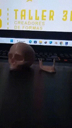 skull skull skull jaw/skull, anatomy, jaw