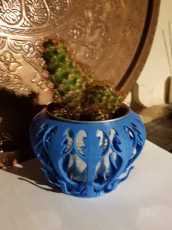 Small cache pot
