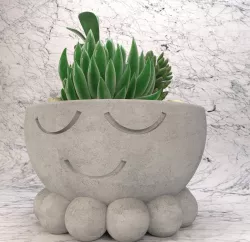 Smile pots