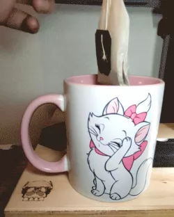 Tea bag holder, Fisher Pikachu (female)