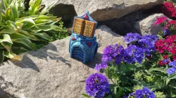 Temple Lootbox