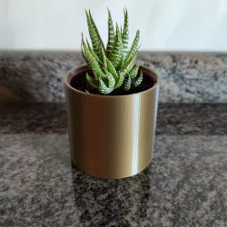 The most basic IKEA mini cactus pot