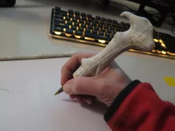 Voldemort Pen-Wand