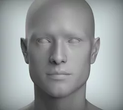 8 Male Head Sculpt 01 3D model Low-poly 3D model