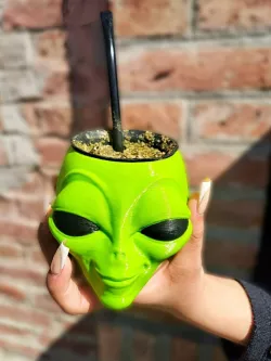 Alien Mate: An Intergalactic Mate Experience