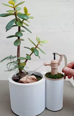 Anti ant planter and irrigation pump