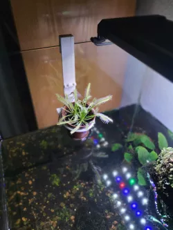 Aquarium Pot 2.0
