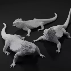 Bearded Dragon Realistic Lizard
