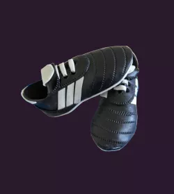 Booty, (Shoe), of Soccer. Cut in Pieces
