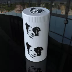 border collie mate set