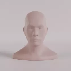 bust base male