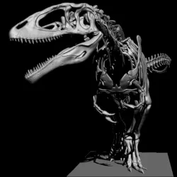 Carcharodontosaurus Skeleton