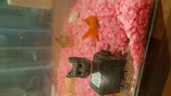 Cat decoration aquarium pump