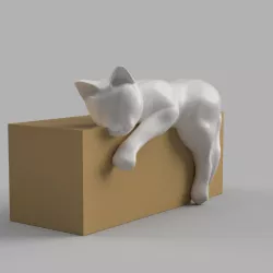 CAT POT