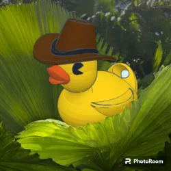 Cowboy Duck Key Chain