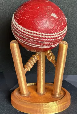 Cricket ball stand/trophy