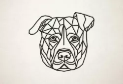 Dog Bull Terrier
