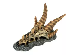 Dragon Skull