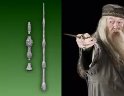 Dumbledore's Elder Wand