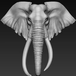 Elephant African Head