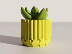 Faceted Pot
