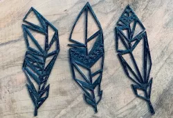 Feathers, Feathers