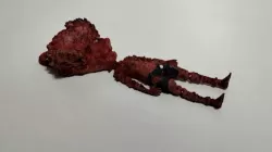 flexi clicker