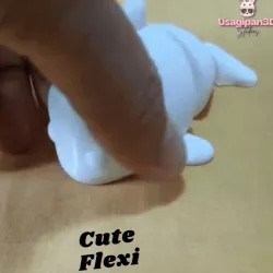 Flexi Dolphin