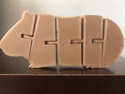 Flexi Guinea Pig