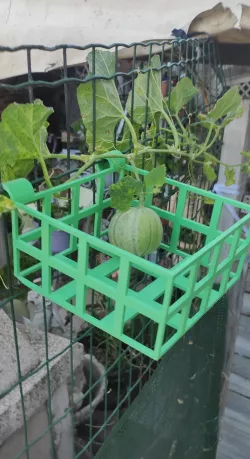 Garden fruit shelf mesh