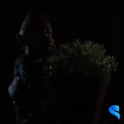 Gardening Gnome - Pebbles