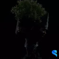 Gardening Gnome - Sprout