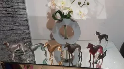 Greyhound