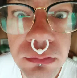 Large Cow Fake Septum
