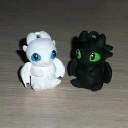 Light fury and Night fury / Toothless Keychain
