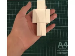 Minecraft Character. (Customizable)