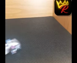 Mini Go Kart #001  (PRINT IN PLACE, NO SUPPORT)
