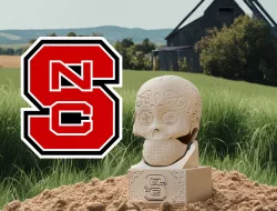NCCA Skull NC State Wolfpack football - 3d print