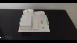 organizer